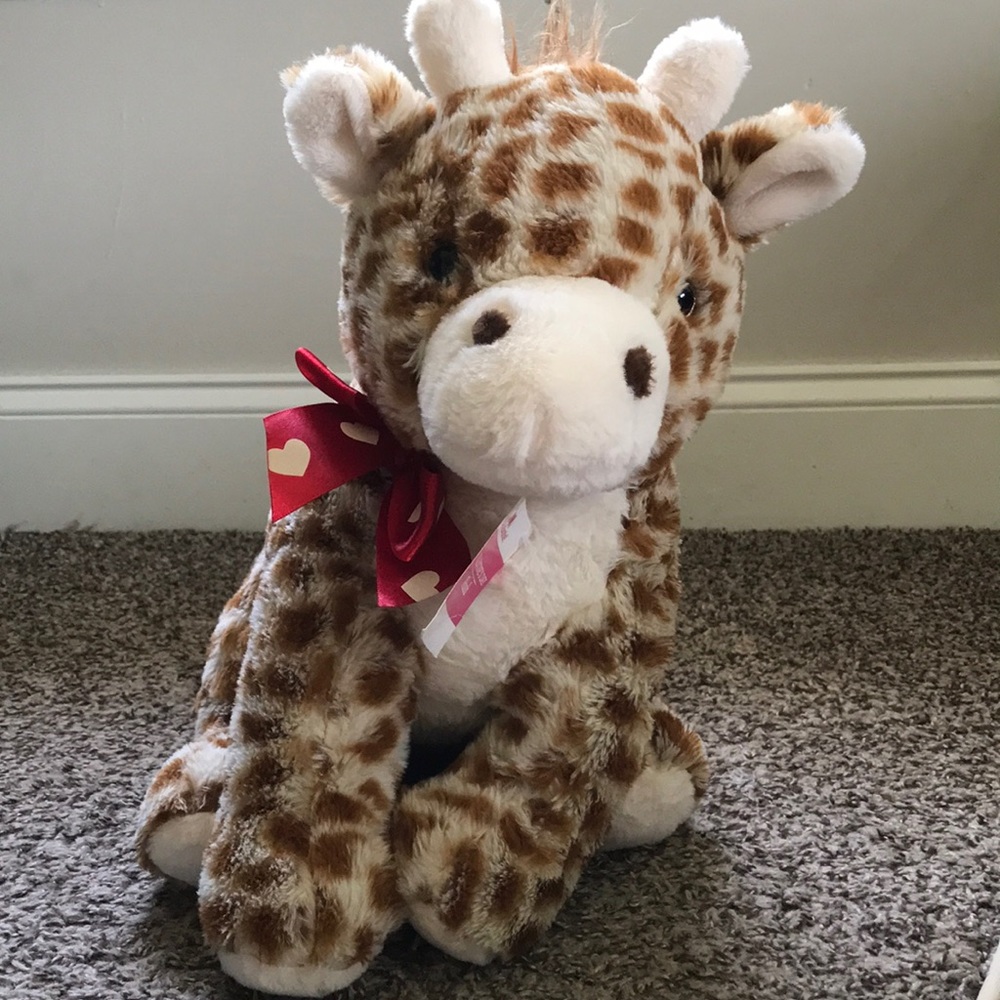 Valentine’s day Giraffe